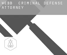 Webb  criminal defense attorney