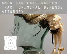 American Lake Garden Tract  criminal defense attorney