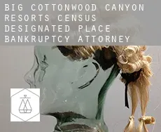 Big Cottonwood Canyon Resorts  bankruptcy attorney
