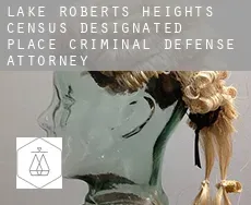 Lake Roberts Heights  criminal defense attorney