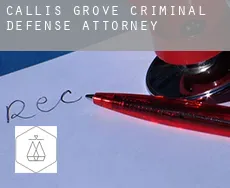 Callis Grove  criminal defense attorney