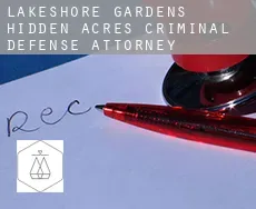 Lakeshore Gardens-Hidden Acres  criminal defense attorney