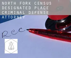 North Fork  criminal defense attorney