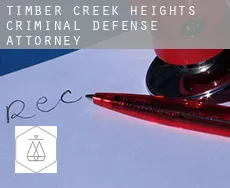Timber Creek Heights  criminal defense attorney