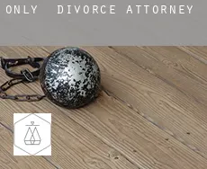 Only divorce attorney