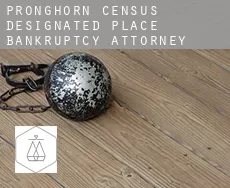 Pronghorn  bankruptcy attorney