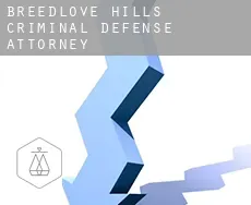 Breedlove Hills criminal defense attorney