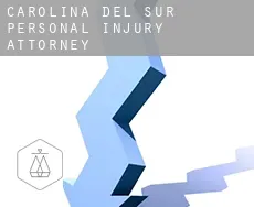 South Carolina  personal injury attorney