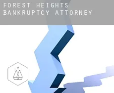 Forest Heights  bankruptcy attorney