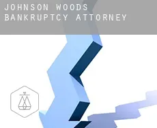 Johnson Woods bankruptcy attorney