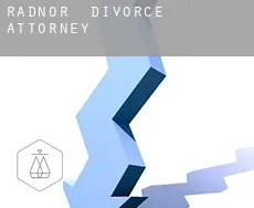 Radnor  divorce attorney