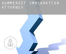 Summerset  immigration attorney