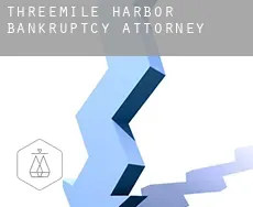 Threemile Harbor  bankruptcy attorney
