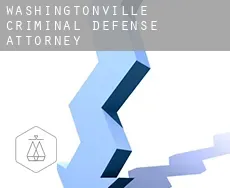 Washingtonville  criminal defense attorney