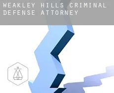 Weakley Hills  criminal defense attorney