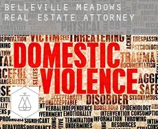 Belleville Meadows  real estate attorney