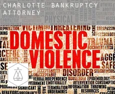 Charlotte  bankruptcy attorney