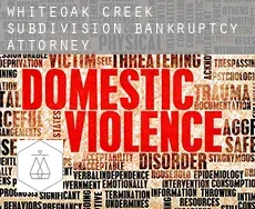 Whiteoak Creek Subdivision  bankruptcy attorney